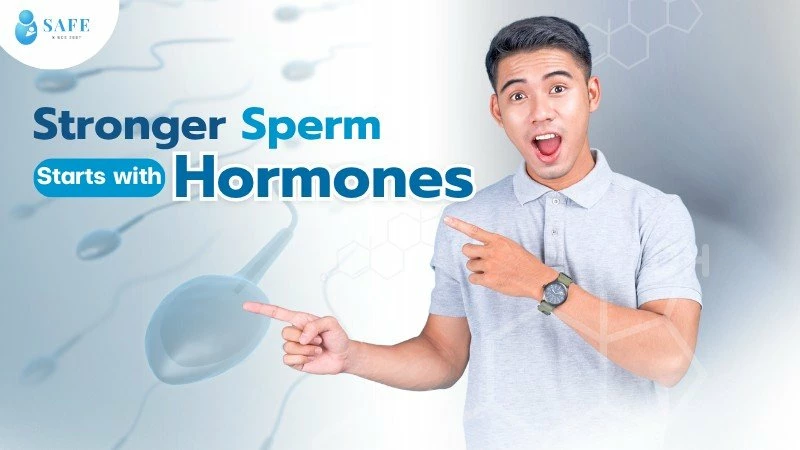 Hormones & Sperm: The Hidden Key to Male Fertility