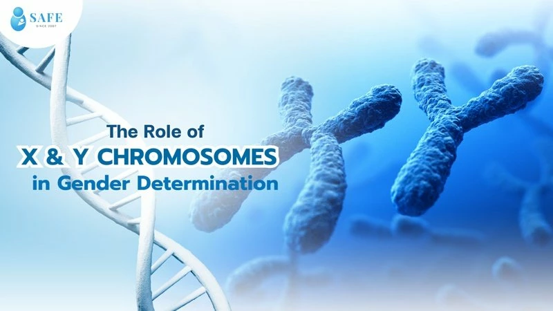 Gender Selection in Thailand: A Guide to Genetic Health and IVF