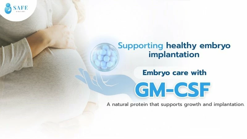 Discover GM-CSF: The Natural Protein That Supports Embryo Growth and Implantation