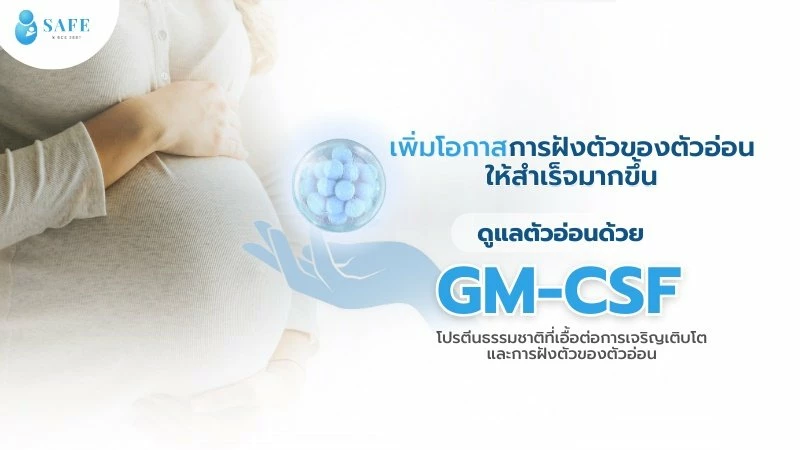 รู้จักกับโปรตีน GM-CSF ที่จะช่วยปกป้องตัวอ่อนแห่งความหวังของคุณ