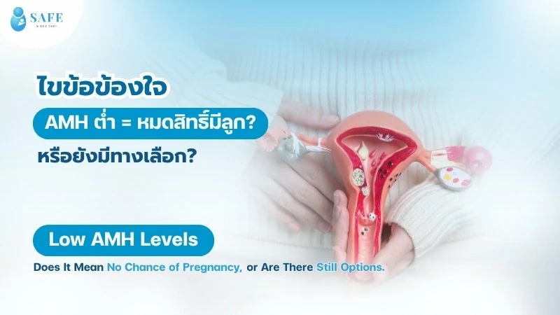 ไขข้อข้องใจ เมื่อค่า AMH ต่ำ = หมดสิทธิ์มีลูก? หรือยังมีทางเลือก?