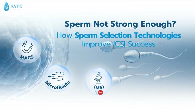 How Advanced Sperm Selection Technologies Improve ICSI Success