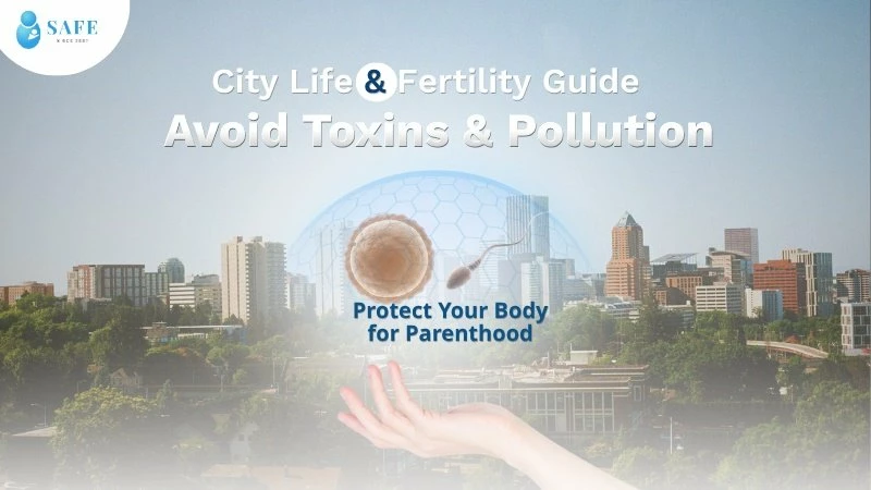 City Life & Fertility Guide: Avoid Toxin and Pollution Protect Your Body for Parenthood