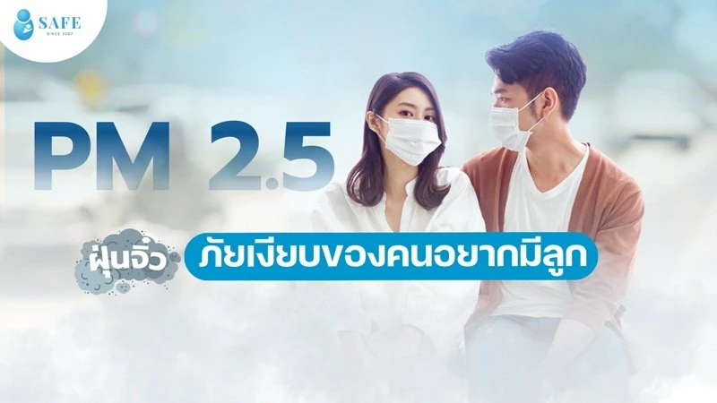 PM 2.5 ภัยเงียบทำลาย “สเปิร์ม-ไข่” ต้นเหตุมีลูกยากที่คนอยากมีลูกมองข้าม