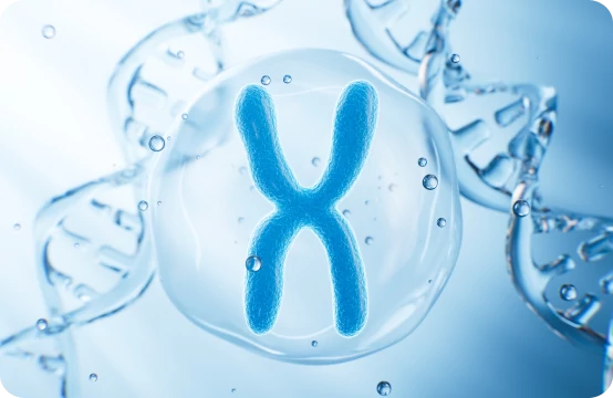 IVF/ICSI