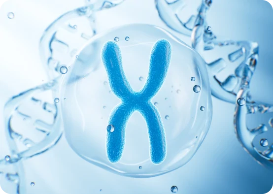 PGT-A Chromosomal Testing (PGTseq-A)