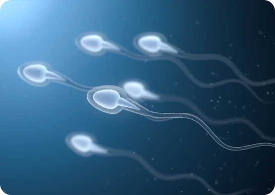 Advanced Male Infertility Solutions
