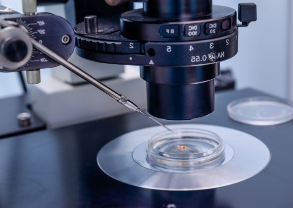 การวิเคราะห์สเปิร์ม