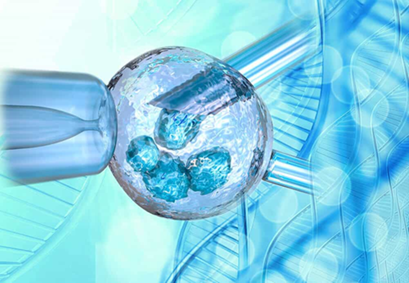 การฝังตัว