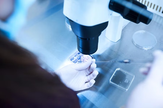 มีอาการหลังย้ายตัวอ่อน