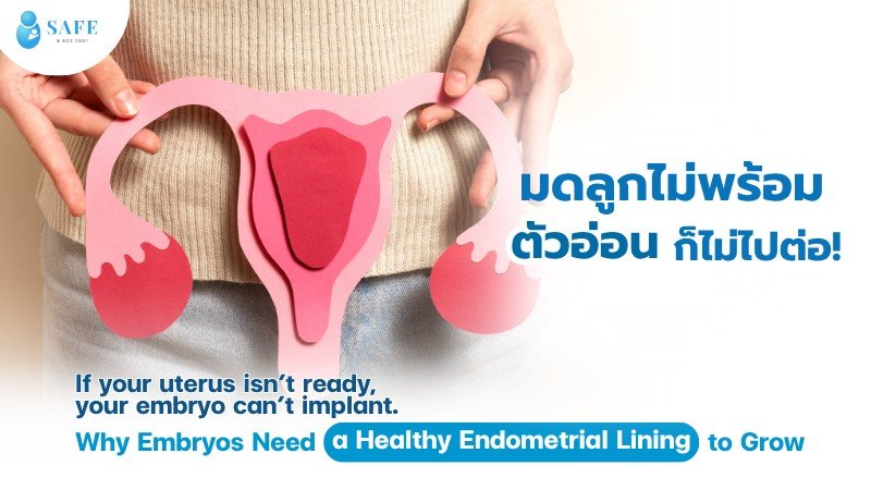มดลูกไม่พร้อม ตัวอ่อนก็ไม่ไปต่อ! ทำความเข้าใจเรื่อง ‘เยื่อบุโพรงมดลูก’ เพื่อการฝังตัวของตัวอ่อน