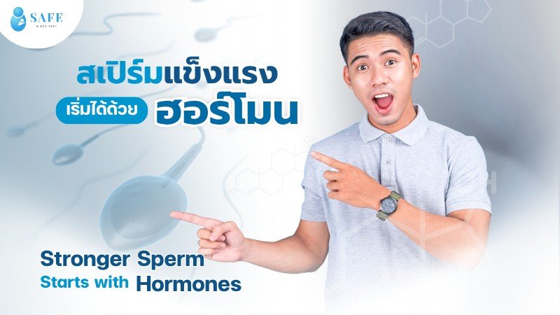 สเปิร์มแข็งแรง เริ่มได้ด้วย “ฮอร์โมน”