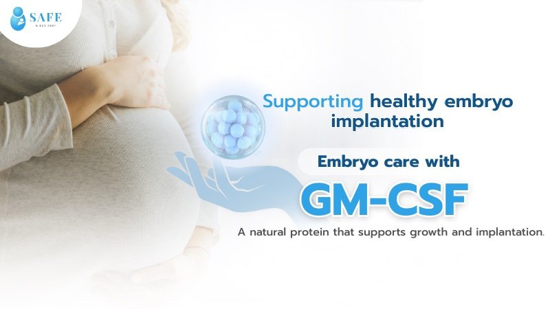 Discover GM-CSF: The Natural Protein That Supports Embryo Growth and Implantation