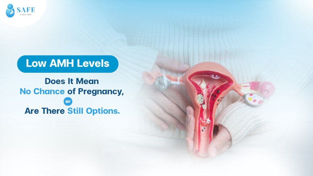 Low AMH Levels: Does It Mean No Chance of Pregnancy, or Are There Still Options?