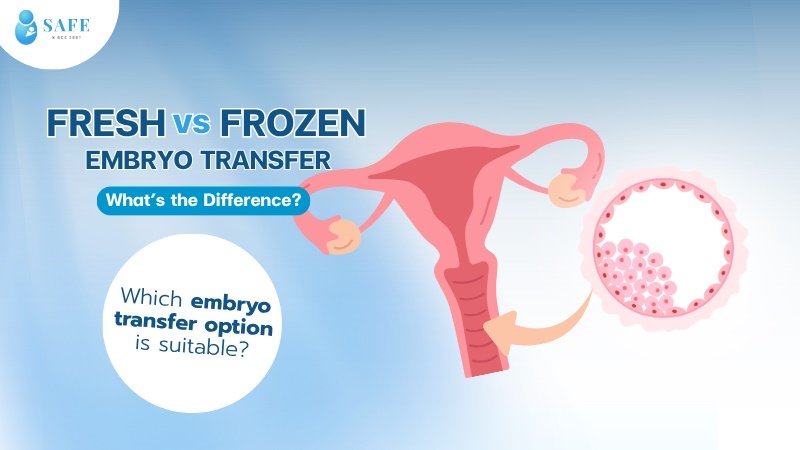 Fresh vs Frozen Embryo Transfer: What’s the Difference? Which One Is Right for You? 