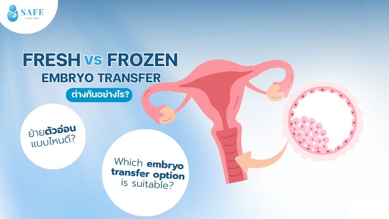 Fresh vs Frozen Embryo Transfer ต่างกันอย่างไร? ย้ายตัวอ่อนแบบไหนดี?