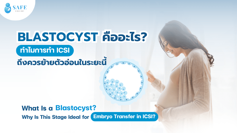 Blastocyst คืออะไร? ทำไมการทำ ICSI ถึงควรย้ายตัวอ่อนในระยะนี้